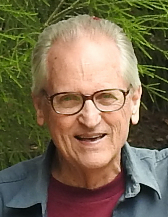 David Wilson Perry 